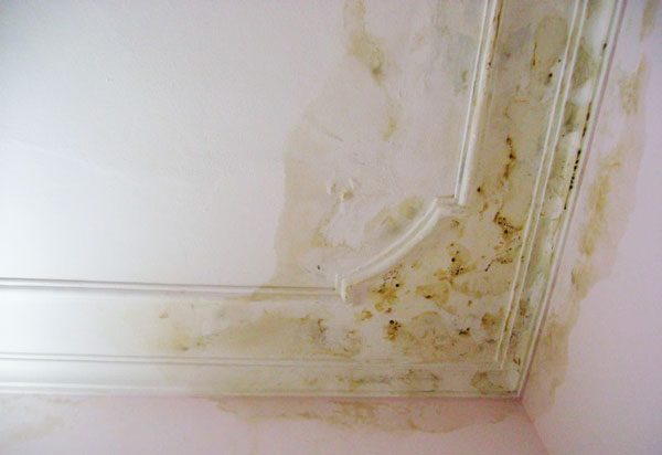 Sửa chửa nhà và cải tạo nhà Hà Thành – Chuyên nghiệp & Uy tín